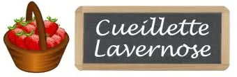 cueillette-lavernose.fr