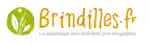brindilles.fr