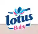 lotusbaby.fr