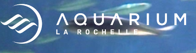  Code Réduction Aquarium La Rochelle